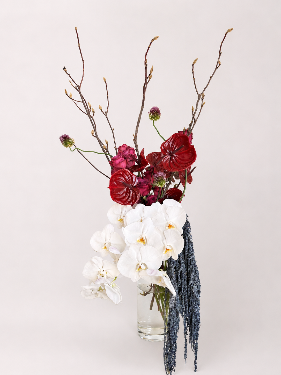 Orchid Statement