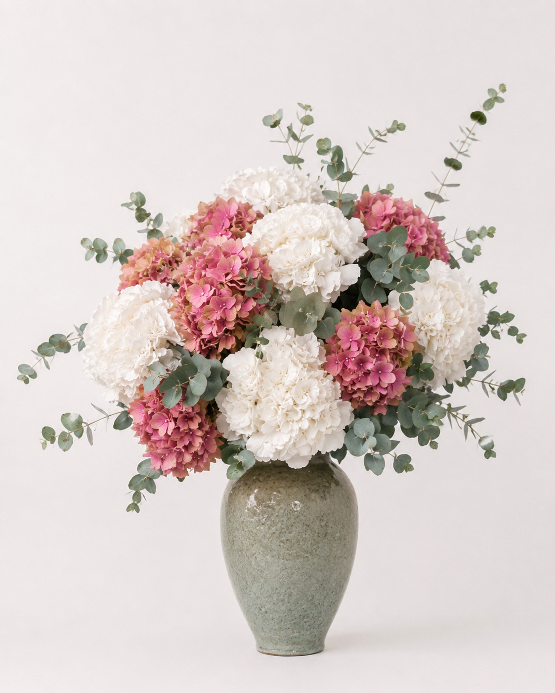 Hydrangea